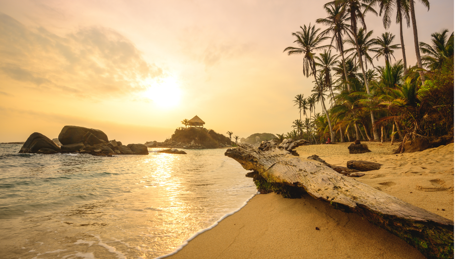 Transformative mindfulness retreat promoting brain, body, and spirit alignment at Araya